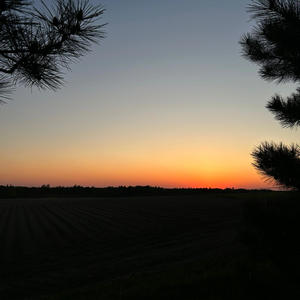 Danzando en sueños (feat. Sionix) (Explicit)