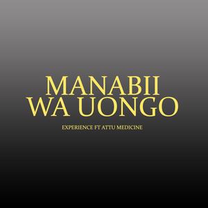 Manabii Wa Uongo (feat. Attu Medicine)