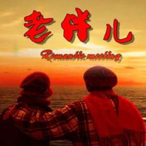 老伴儿