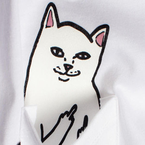 虚假&傲慢 (伴奏)