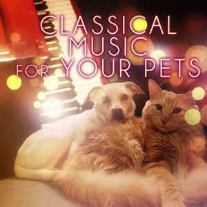 Classical Music for Your Pets – Soothing Music While You Are Out, Relaxing Piano Music for Dogs, Cats & Other Friends, Calming down Your Pets With Classics, Music for Puppies & Kittens