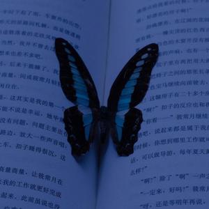 gözler(feat. 9infidell & Enws)(slowed)