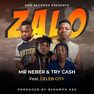 Mr Neber Zalo (feat. Try Cash & Celeb City)
