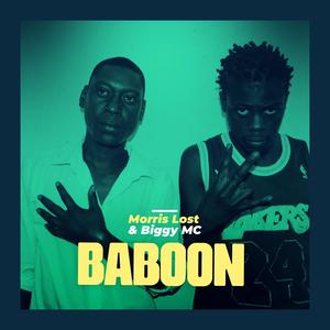 Baboon (feat. Biggy MC & Morris Lost)