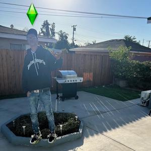 Like a Sim (Dyin Quick) (Explicit)