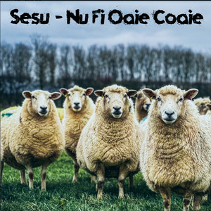 Nu Fi Oaie Coaie (Explicit)