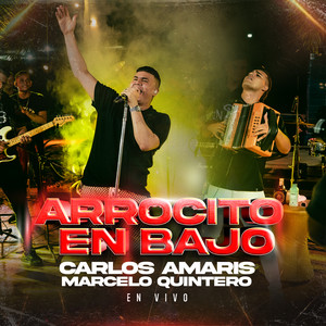 Arrocito En Bajo (En Vivo)