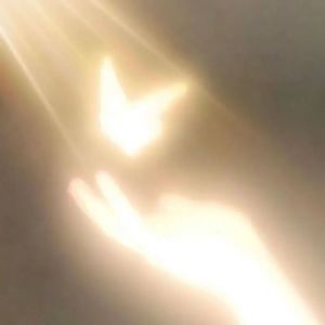 等光来 (女声版)封面