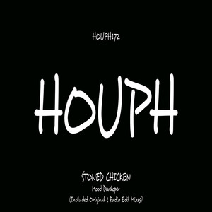 Mood Developer (Original Mix)
