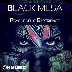 Psychedelic Experience