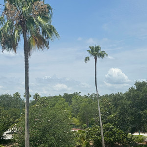 Da One I Need (Explicit)