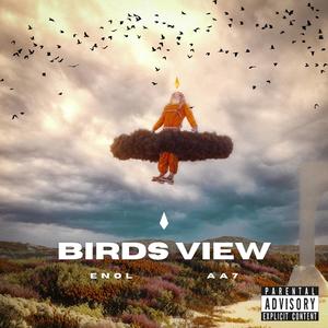 Birds View (feat. Aa7) [Explicit]