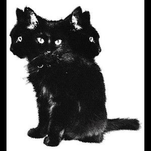 Glo Sito - radical (Explicit)