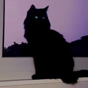 Wassup (feat. 159****OFF & LIL MORPY) (Explicit)