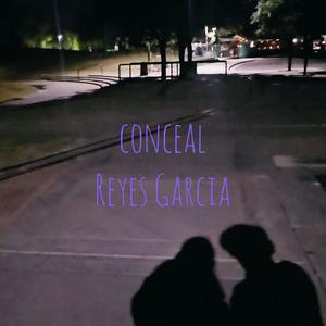 conceal