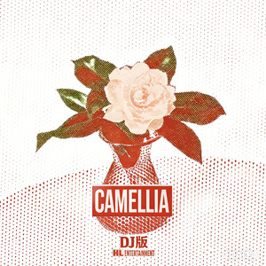 茶花开了，该回家了