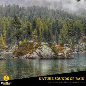 Nature Sounds of Rain - Dewy, Light and Dark Atmospheres, Vol. 8