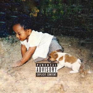 Bandz In The Safe (feat. Asvp200) (Explicit)