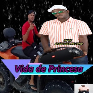 Vida de Princesa (Explicit)