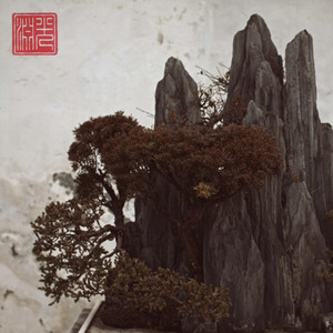 Pool of Light - Pool Of Light - 冬至