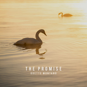 The promise
