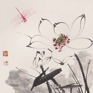 梨花笑（翻自 浙音4811（一个大金意））