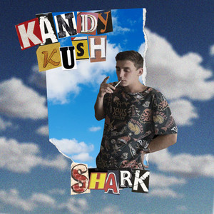 Shark (Explicit)