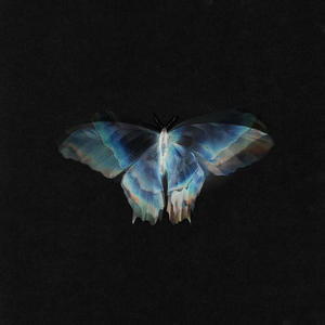 Aesthetica (Explicit)