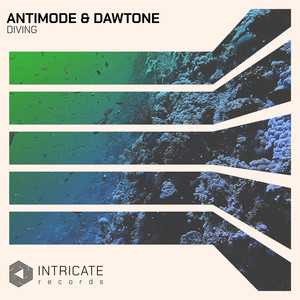 Diving (Extended Mix)