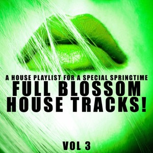 Full Blossom House Tracks! - Vol.3