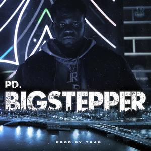 BIG STEPPER (Explicit)