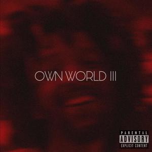 Own World III (Explicit)