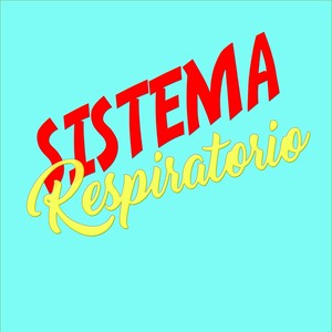 Sistema Respiratorio