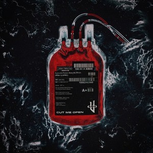 Cut Me Open (Explicit)