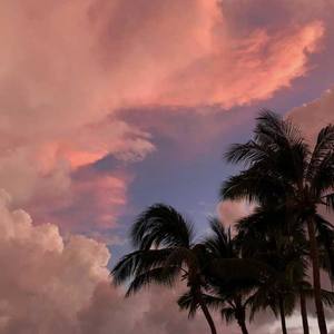 Run Away（ft.Yvng Commander）