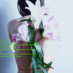 Eclipse (feat. Djinn Sylva)