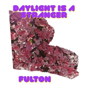 Daylight Is a Stranger
