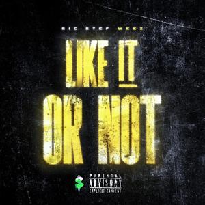 Like it or Not (feat. Weez) [Explicit]