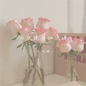 白玫瑰与红玫瑰