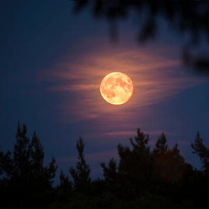 Luna de cristal primera toma