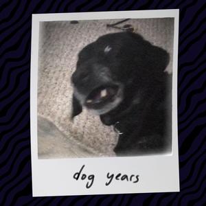 dog years