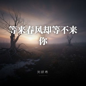 等来春风却等不来你
