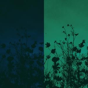 New Beginnings(Outro)(feat. Jungle.Wav)