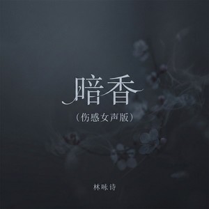 暗香 (伤感女声版) - 林咏诗封面
