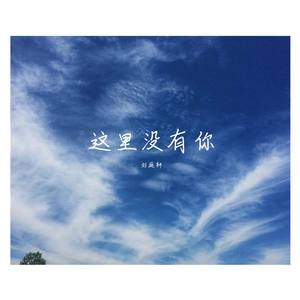 这里没有你