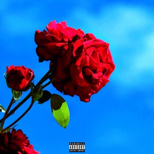 Wortgewandt (Explicit)