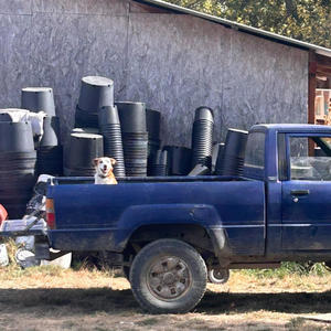 The tric bike vigilante (Explicit)