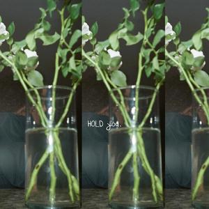 HOLD you(feat. SingLikePhilly)