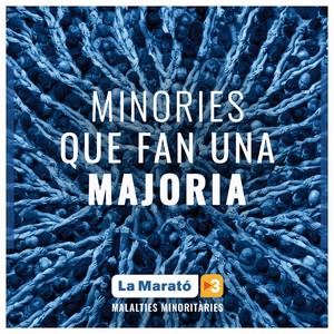 El Disc de la Marató 2019: Malalties Minoritàries (Minories Que Fan una Majoria)