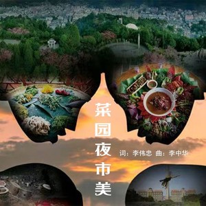 菜园夜市美